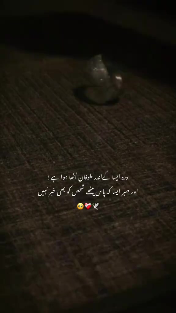 @@mia Afzal 🥰🫶