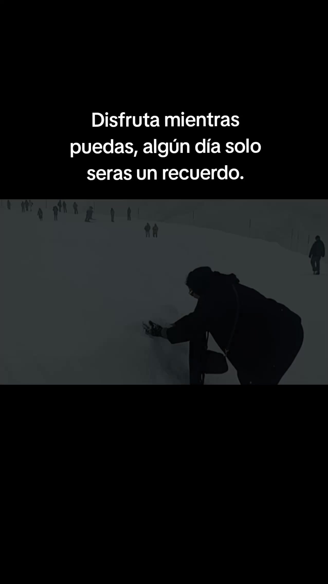 @Viridiana Felix Quez