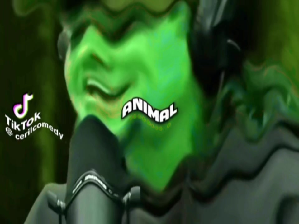 @tekbo