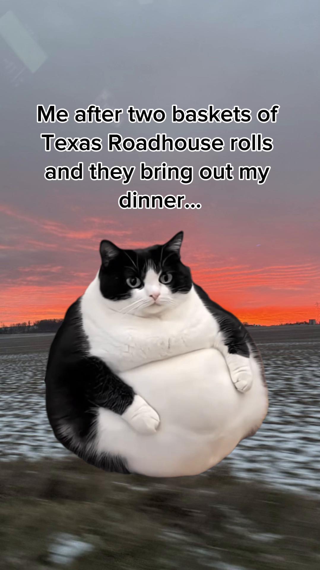 @Raymondjenkins96