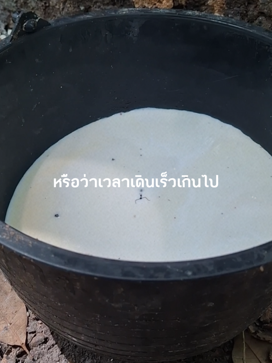 @แม่อ้อยเกษตรกรออนไลน์