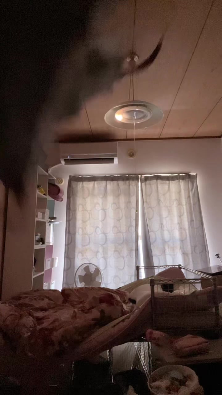 @ナイトトライアド🌴🌪🌊⚡️