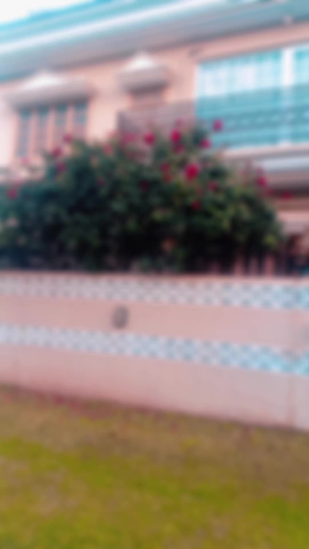 @Taha mughal657