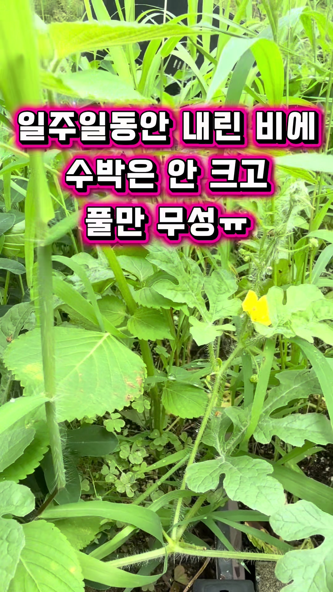 @파메스테틱 피부 상담-헬렌스킨케어