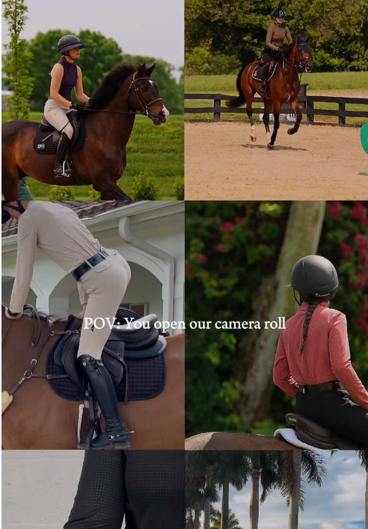@Equisite Elements of Style
