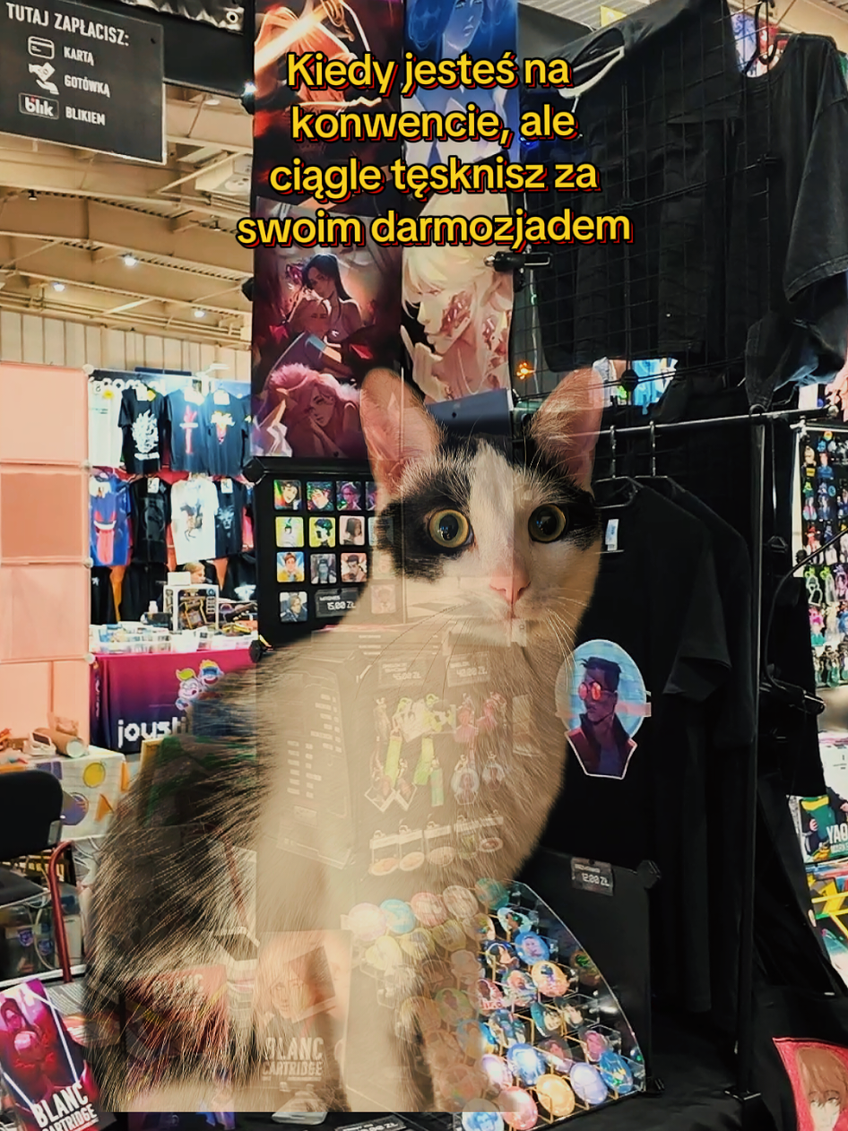 @Margiel ⏭️ WTF stoisko 183