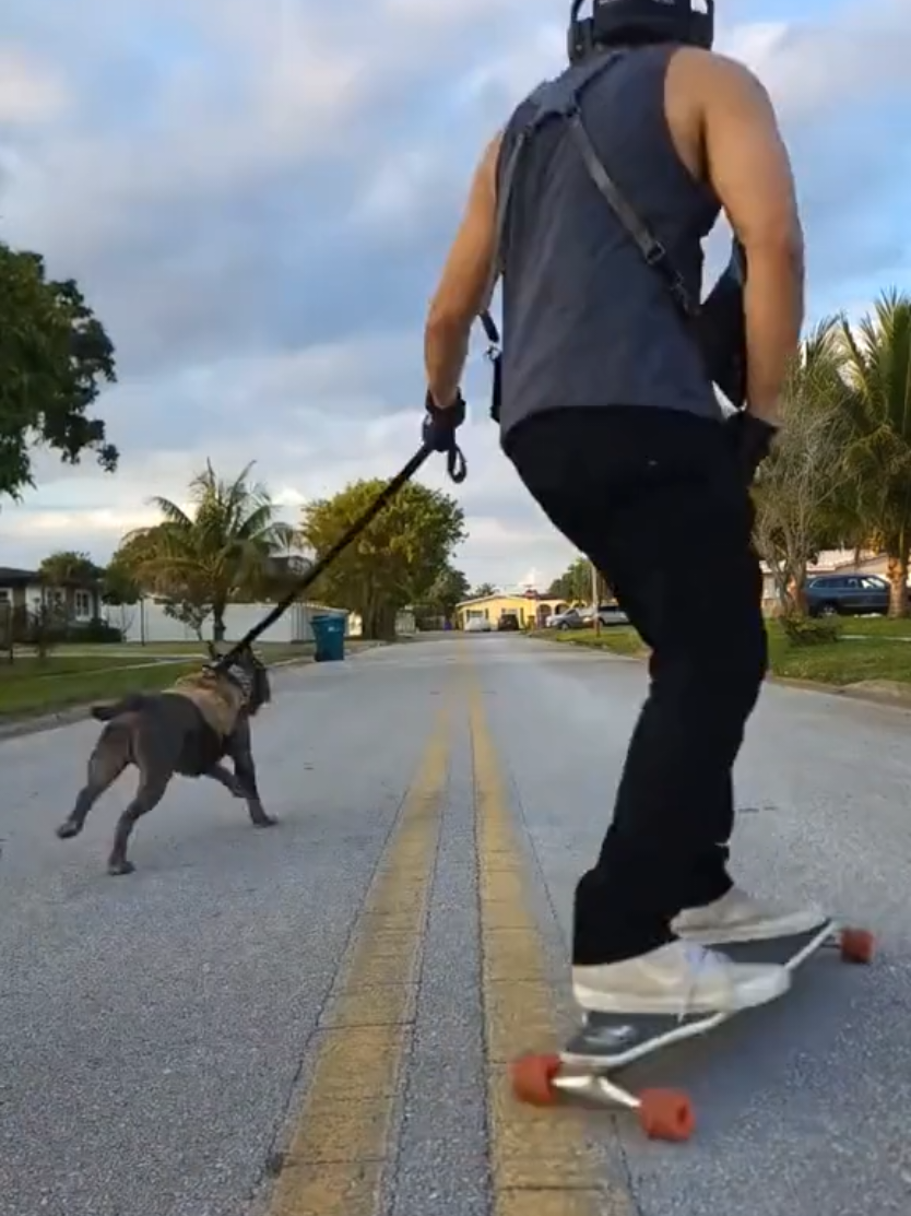 @Just Loko 🐶🐕😍