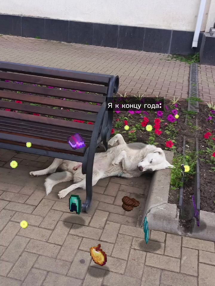 @Софа🩷