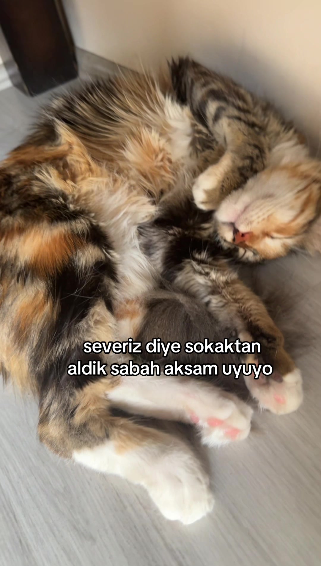 @şeyma