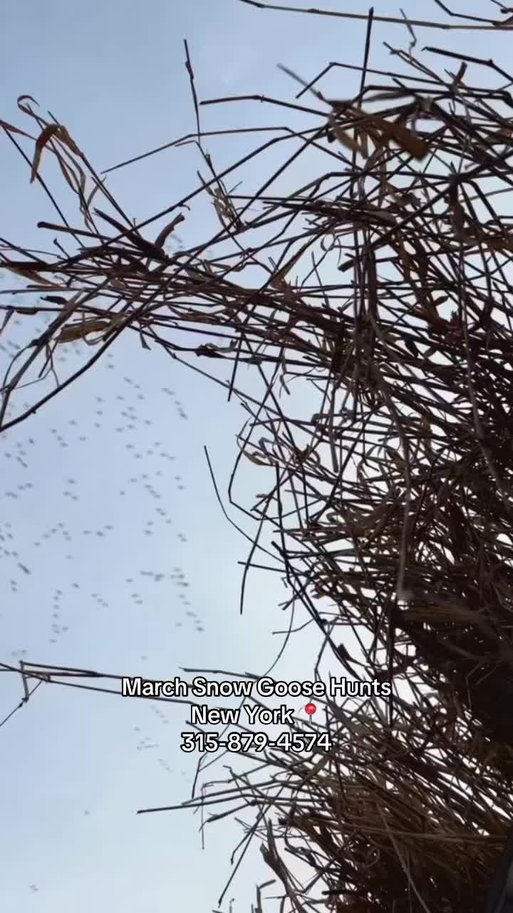 @Final Flight Waterfowl LLC