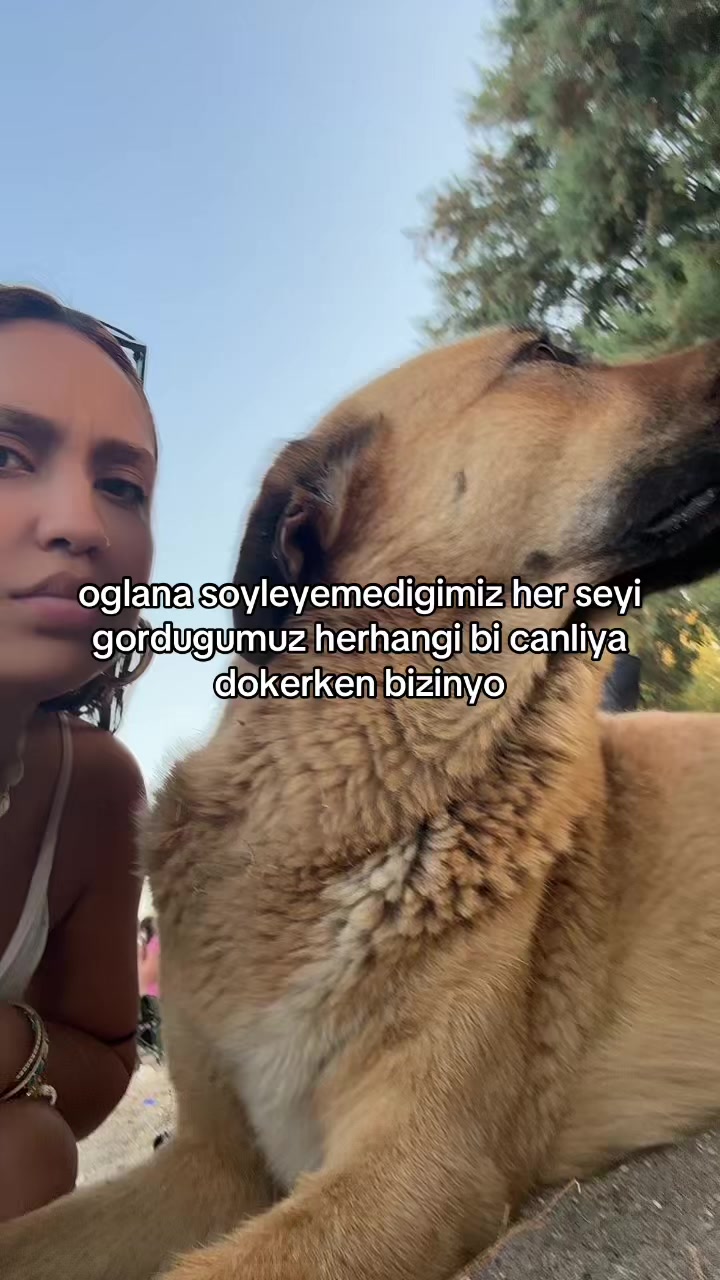 @helin