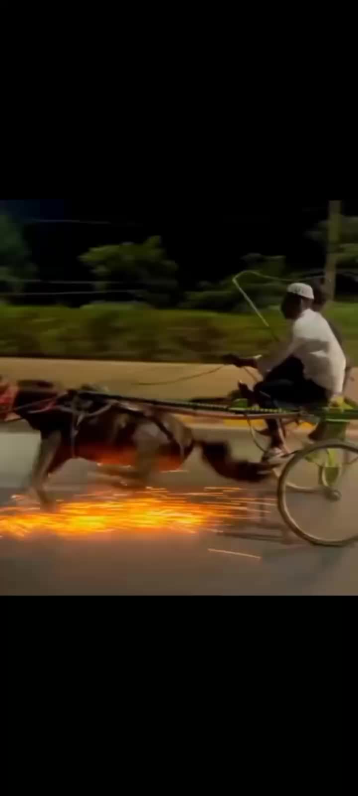@🐴 گھوڑا شوق 🐴