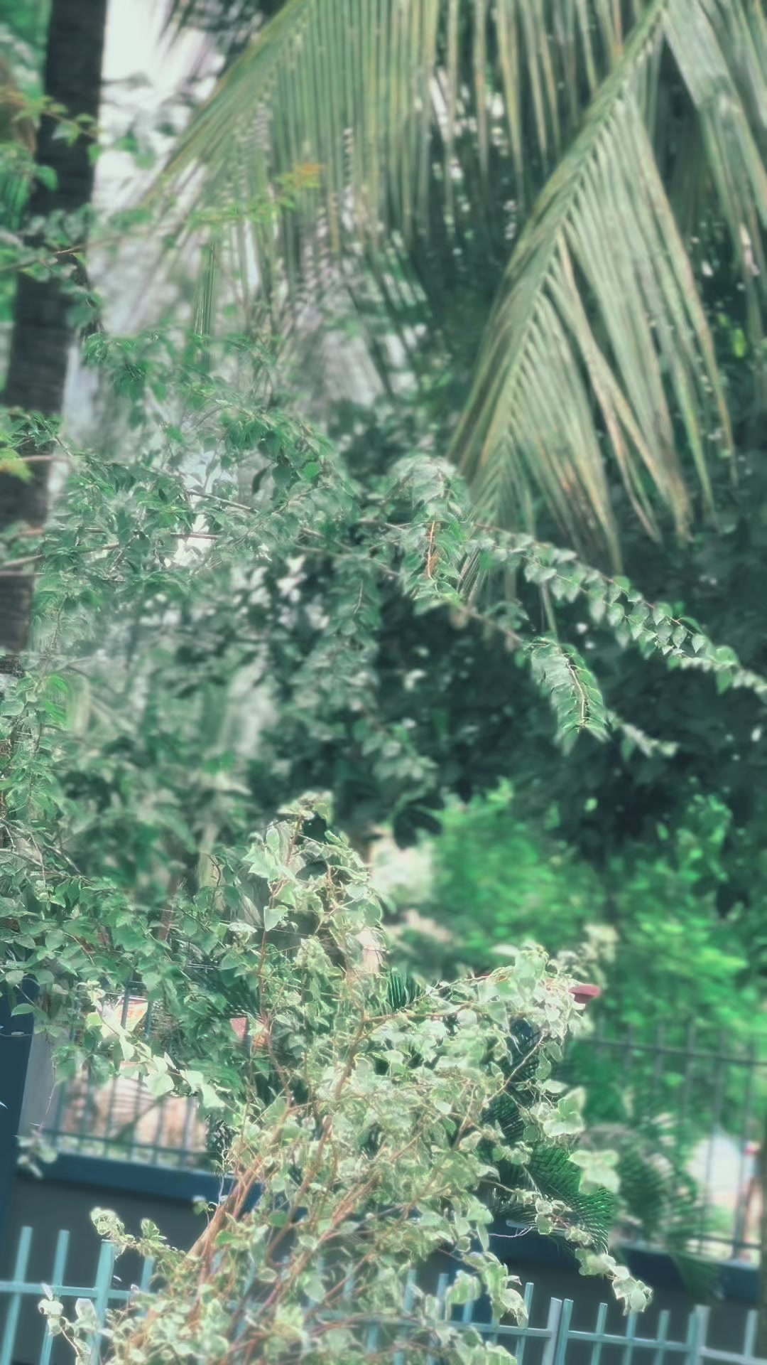 @𝓝𝓲𝓳𝓱𝓾 𝓜🦋