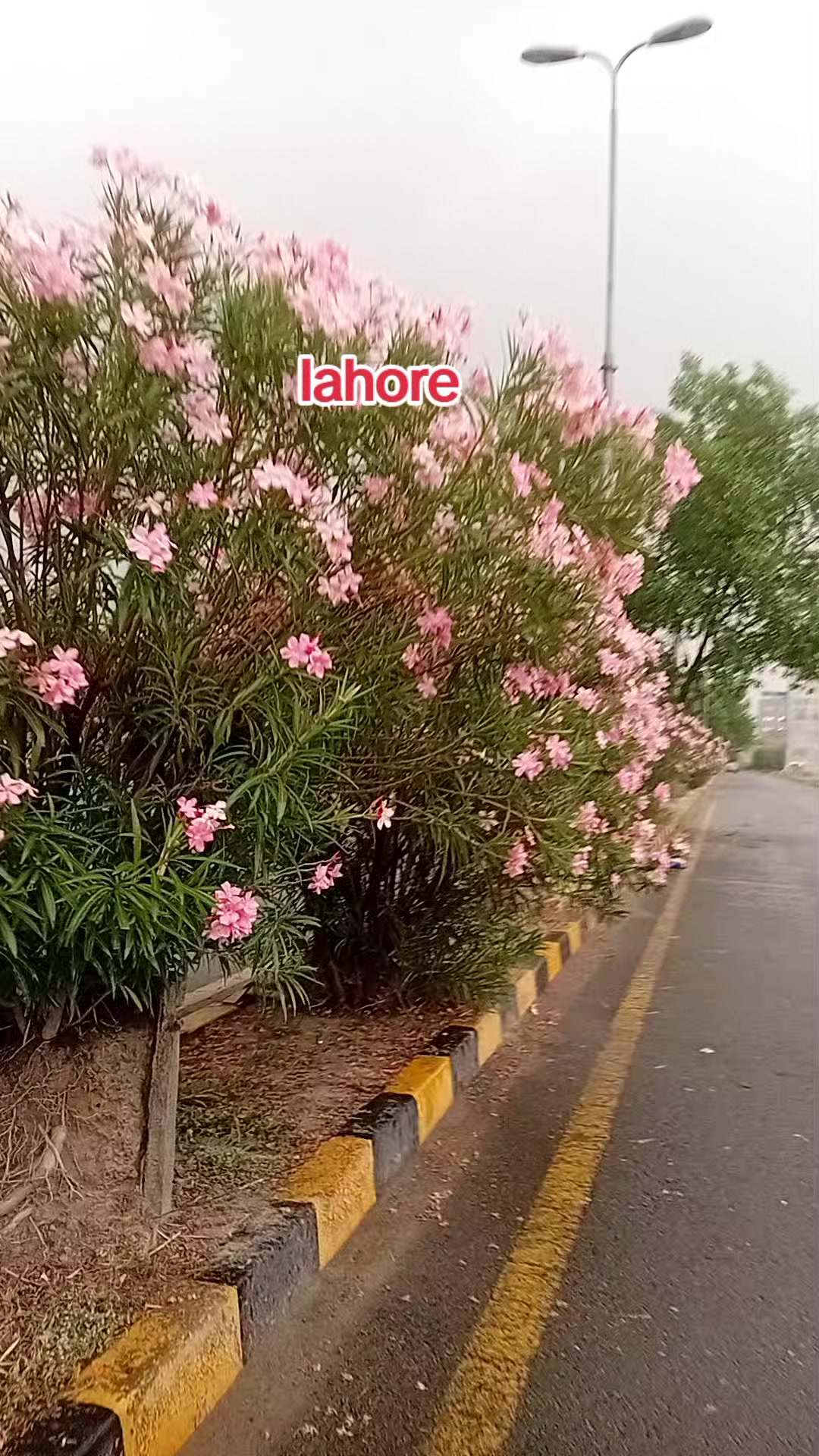 @Akhtar Ali lahore
