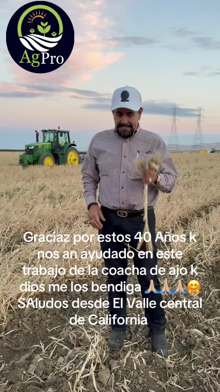 @Piedad Ayala