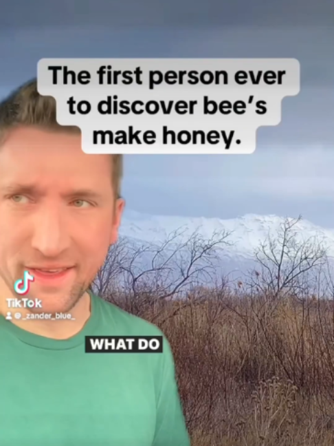 @mrzanderblue
