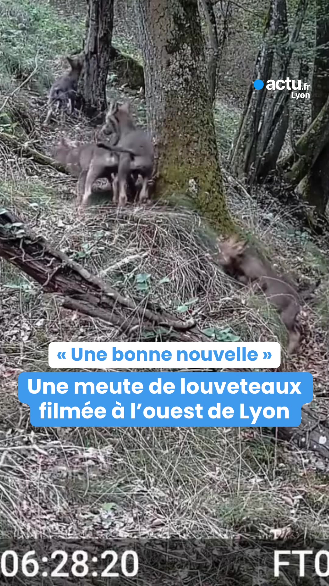 @actu Lyon
