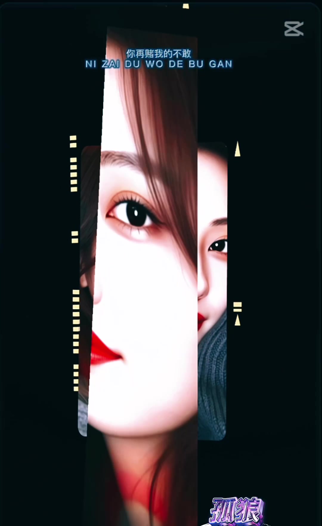 @孤狼