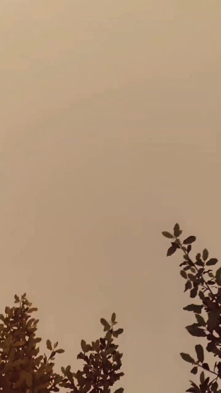 @🖤🥺🫀 سیف الرحمن 🖤🥹🫀