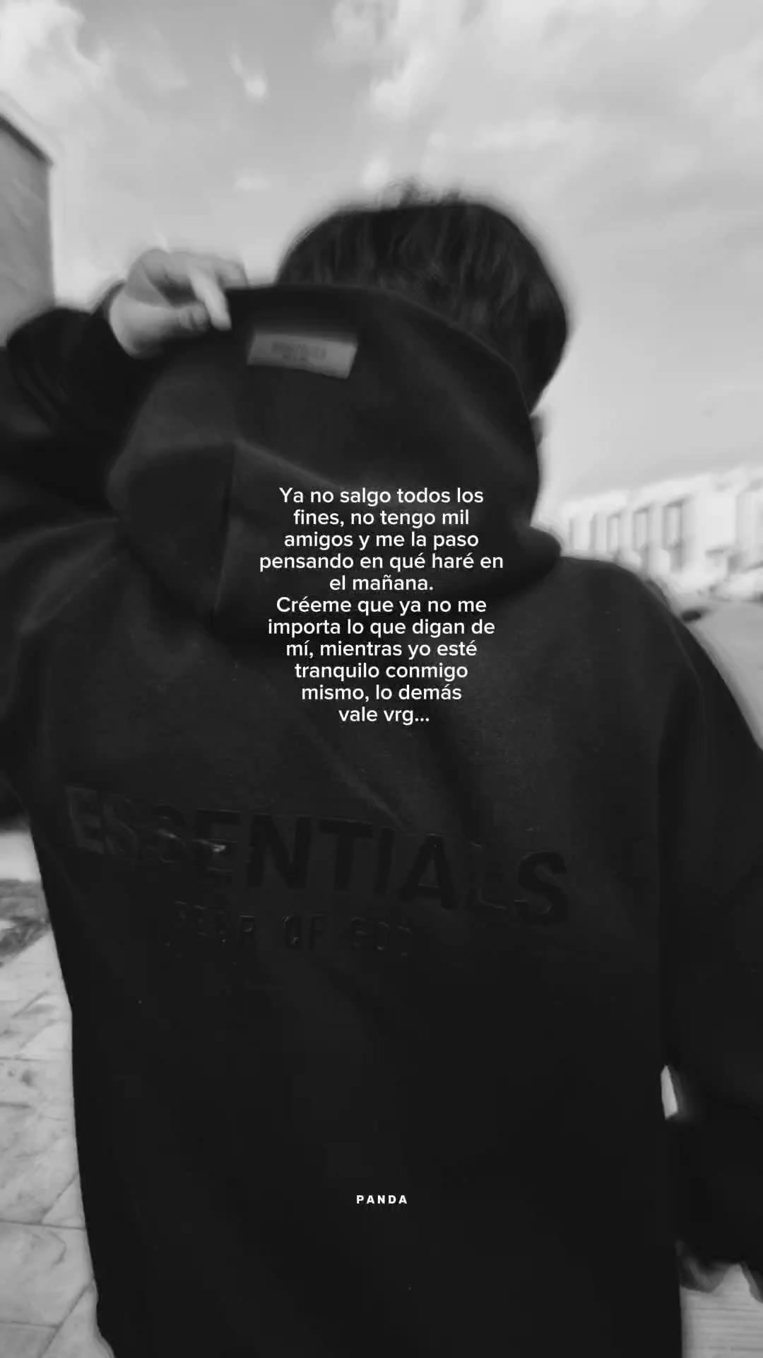 @🐻 ᴘ ᴀ ɴ ᴅ ᴀ 🐼