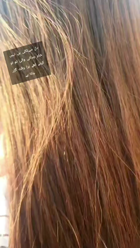 @kashmirikuri400