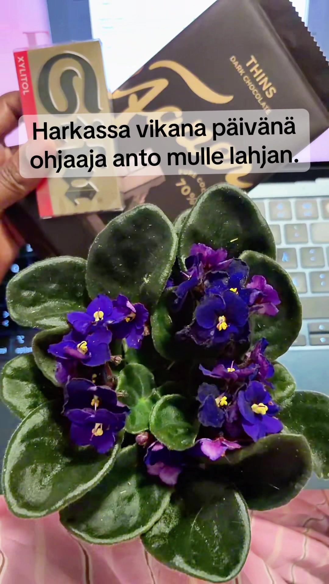 @Lucy|Nursing Student 🇫🇮