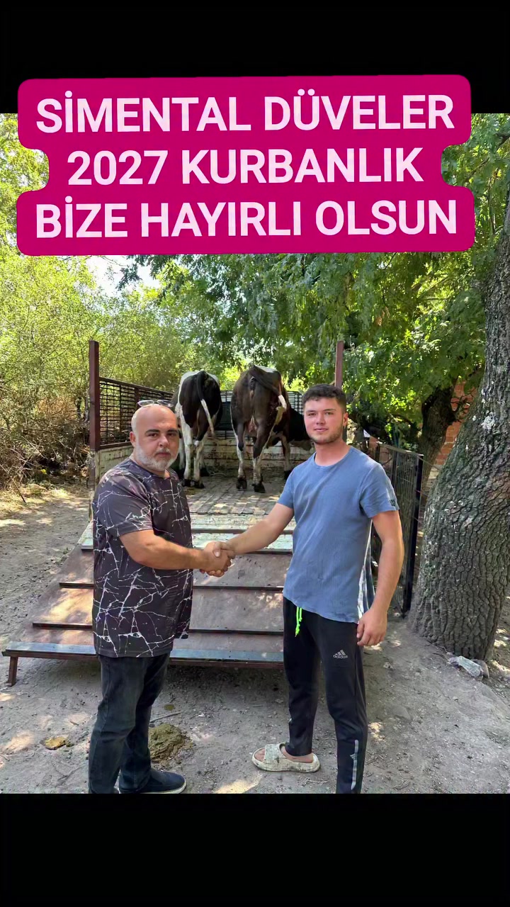 @ismail