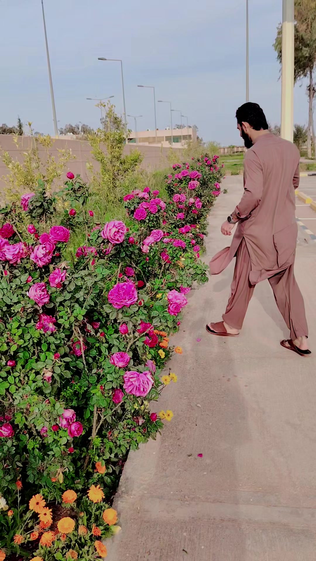 @Tariq SulTan🇸🇦🇵🇰