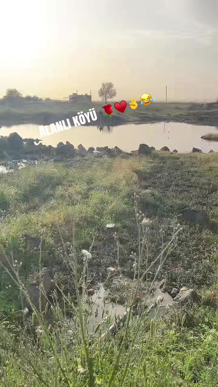 @Mesut Ergül