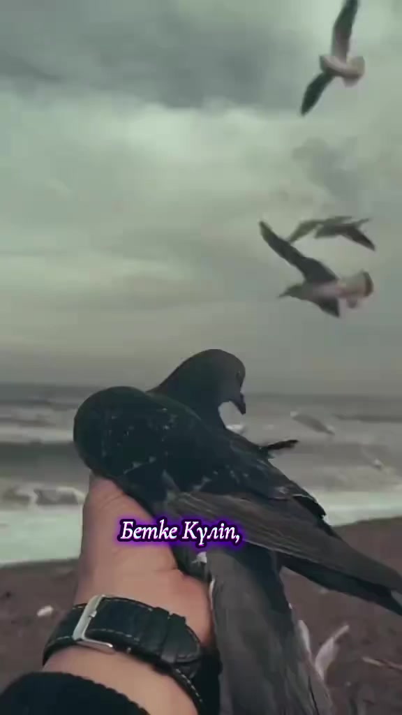 @Зулхумар Курбанбекова⭐️⭐️🔥