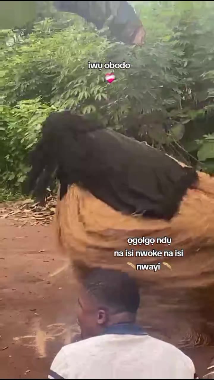 @IGBO BU IGBO