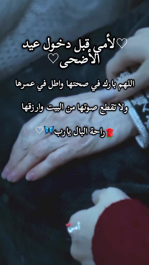 @حـنـ𓆩❥્᭄͜͡ـين🧸 𝑯𝒂𝒏𝒆𝒆𝒏