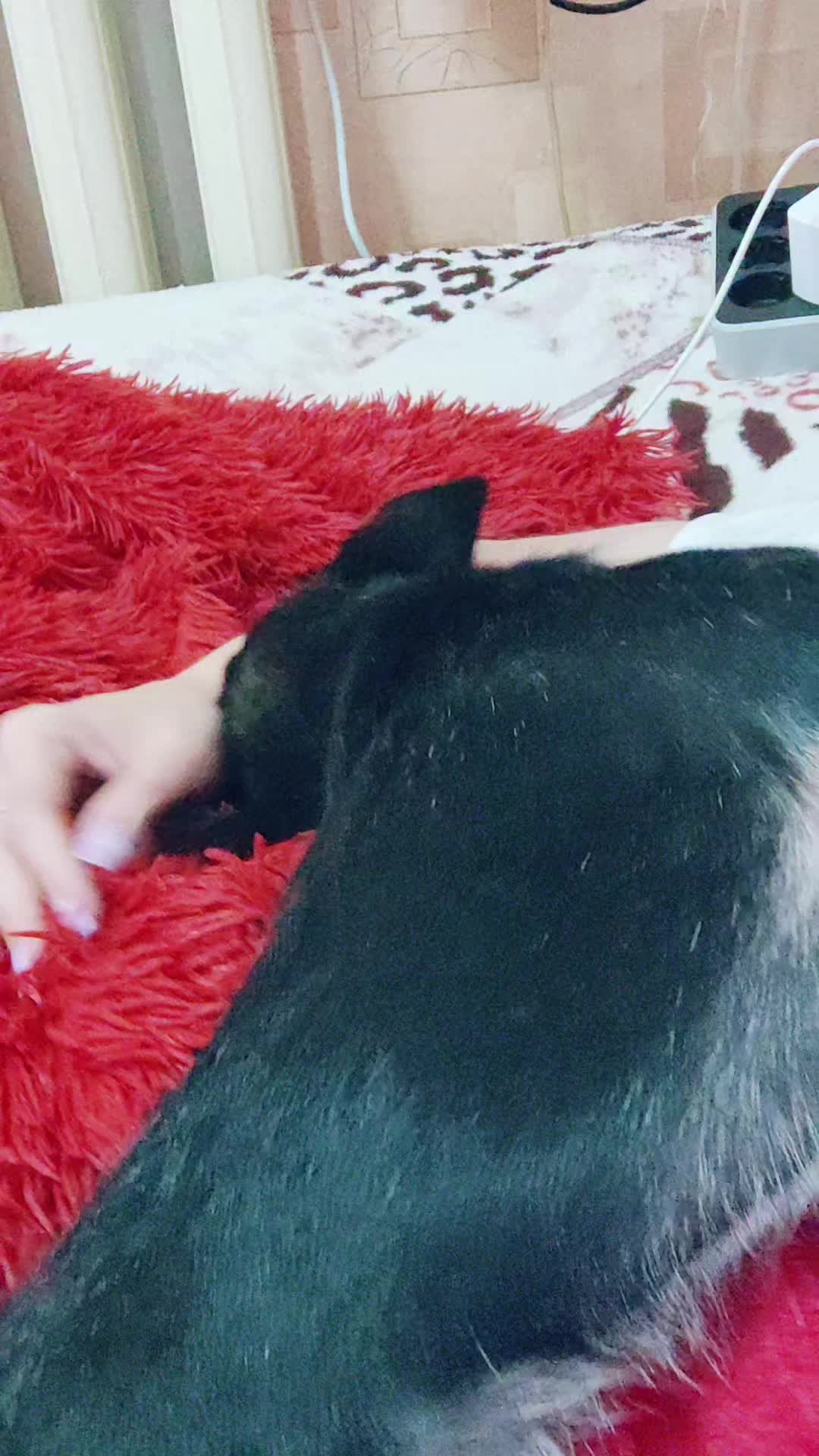 @youredarksoul
