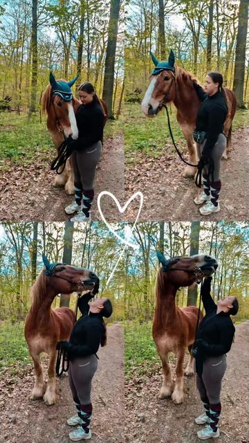 @Ride & Rescue