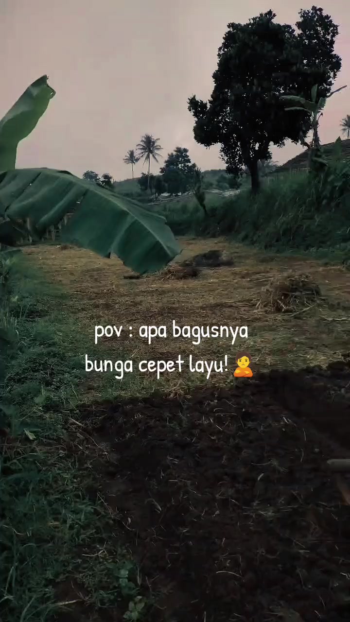 @𝐌𝐞𝐤𝐚𝐫 𝐒𝐞𝐧𝐣𝐚