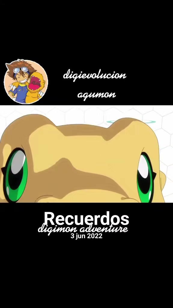 @negro_kt