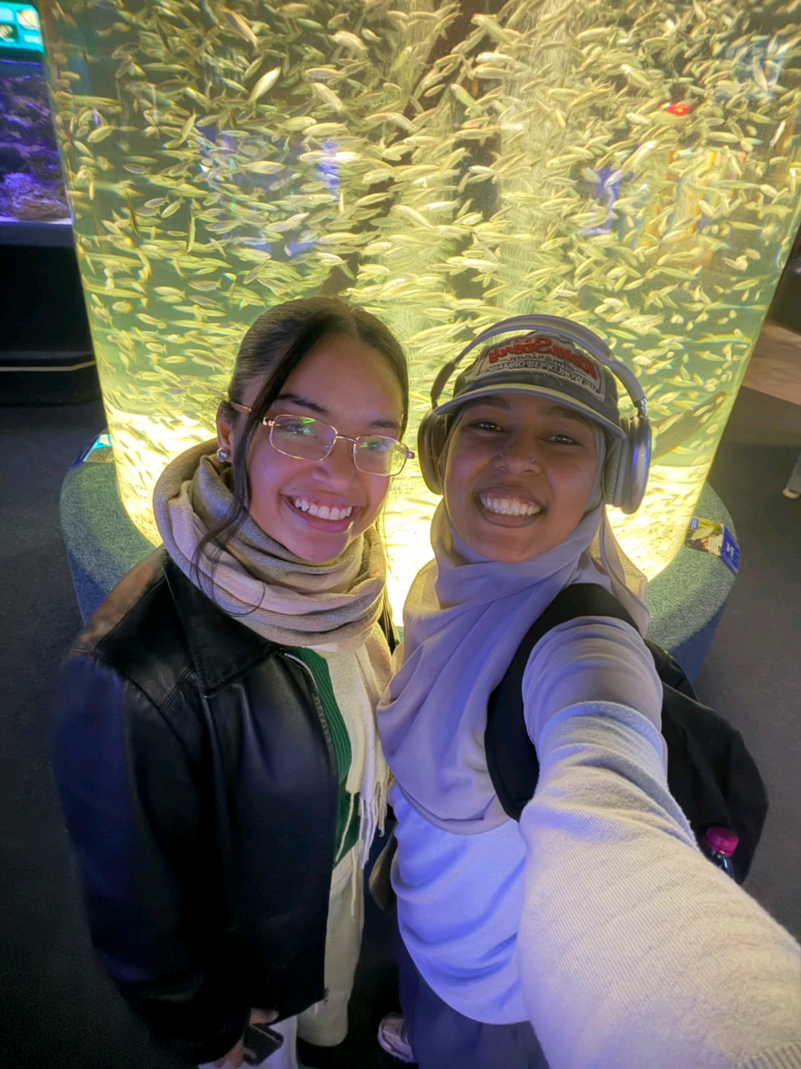 @Daachie