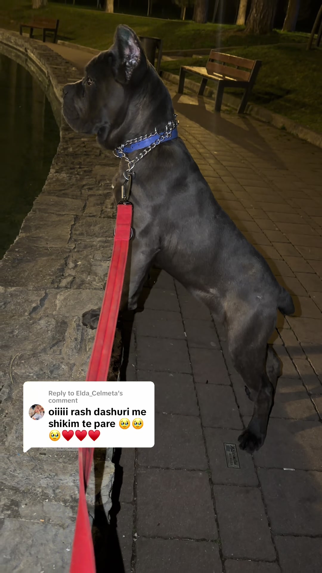 @guardiani_di_lako