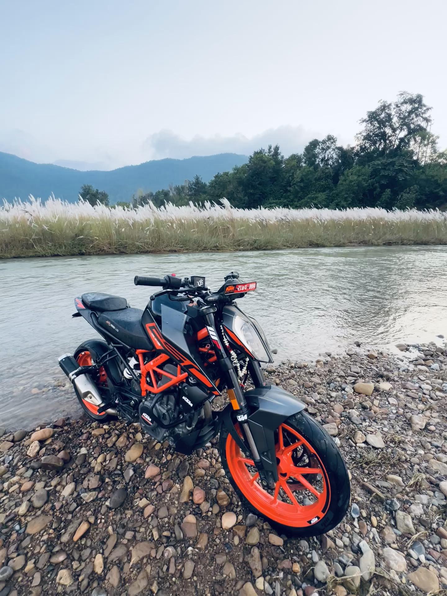 @TORQUE_250 💀