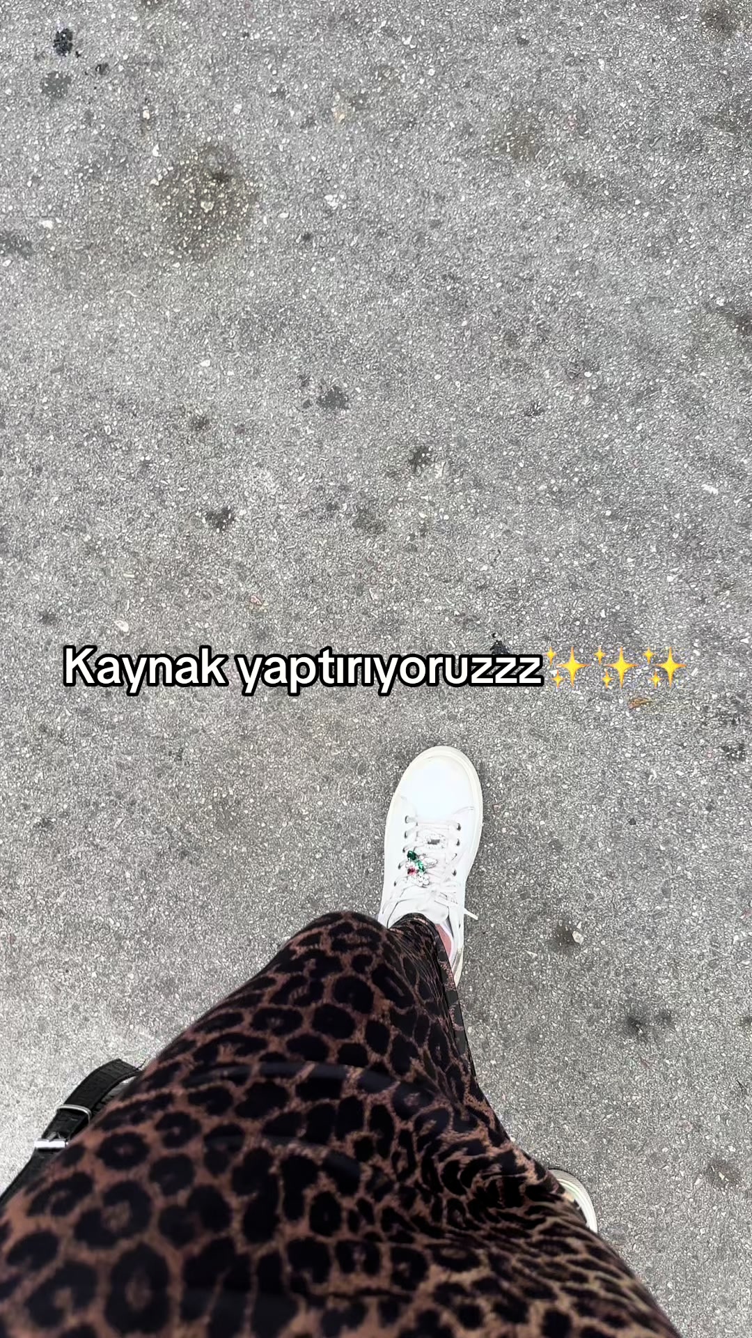 @seda