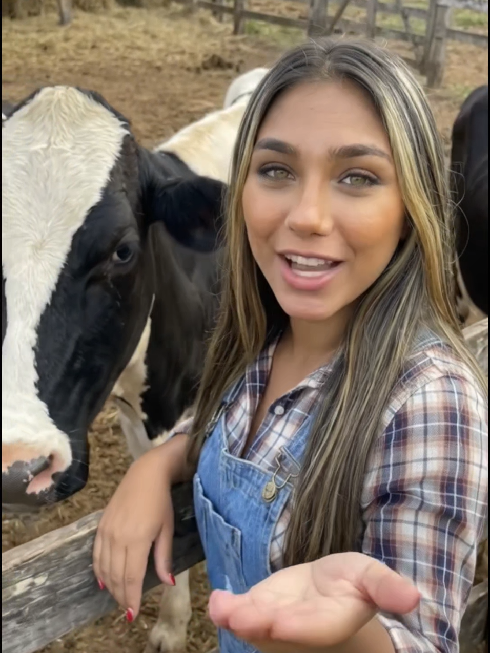 @Bruninha da Fazenda