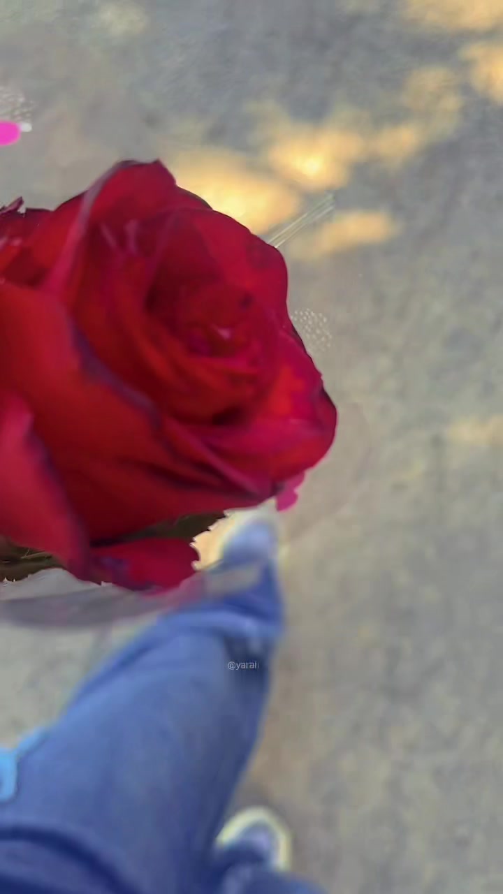 @sabirli_96