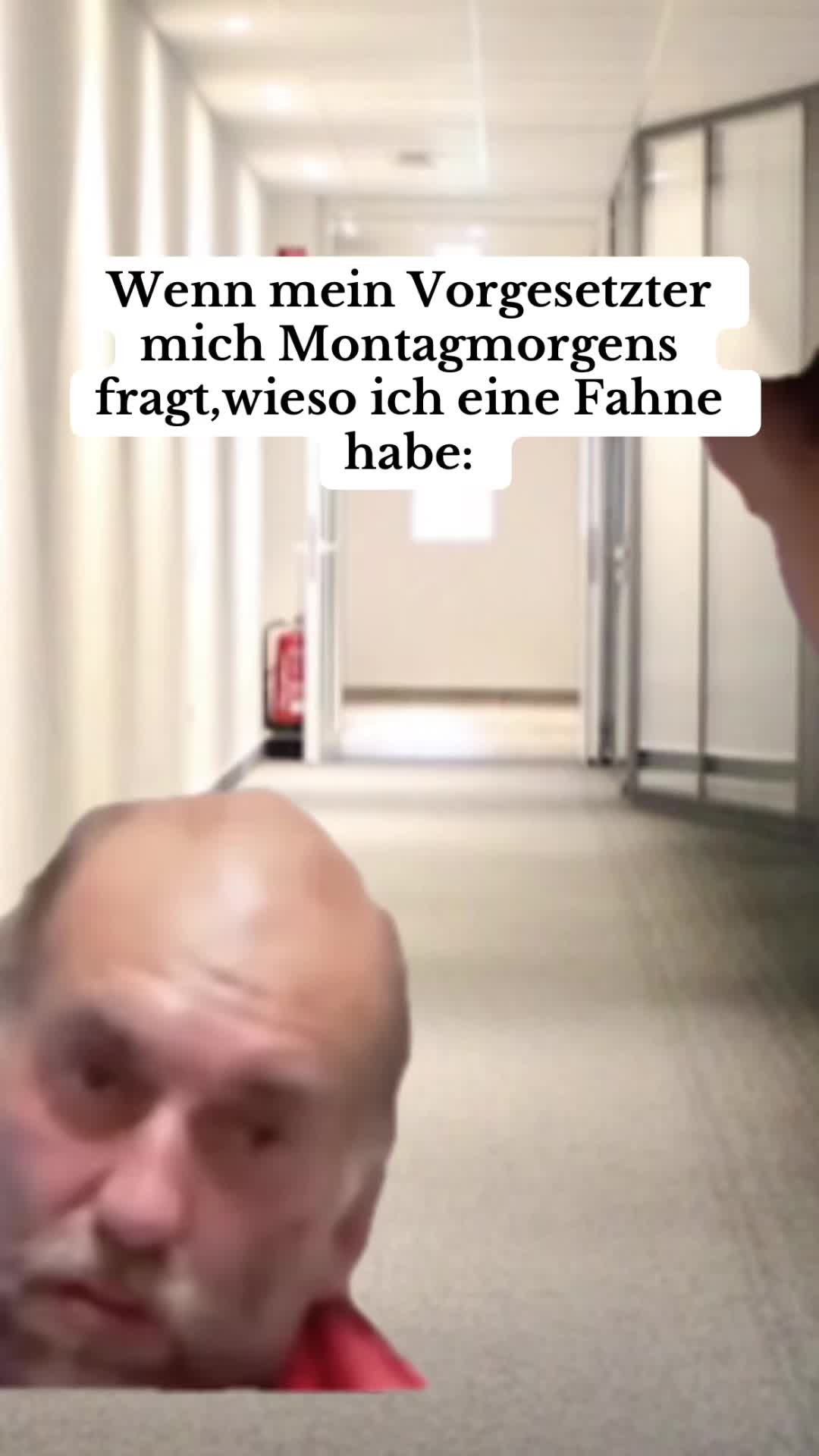 @Michi