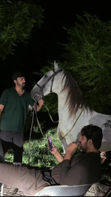@ملک ابراھیم اعوان⚜️