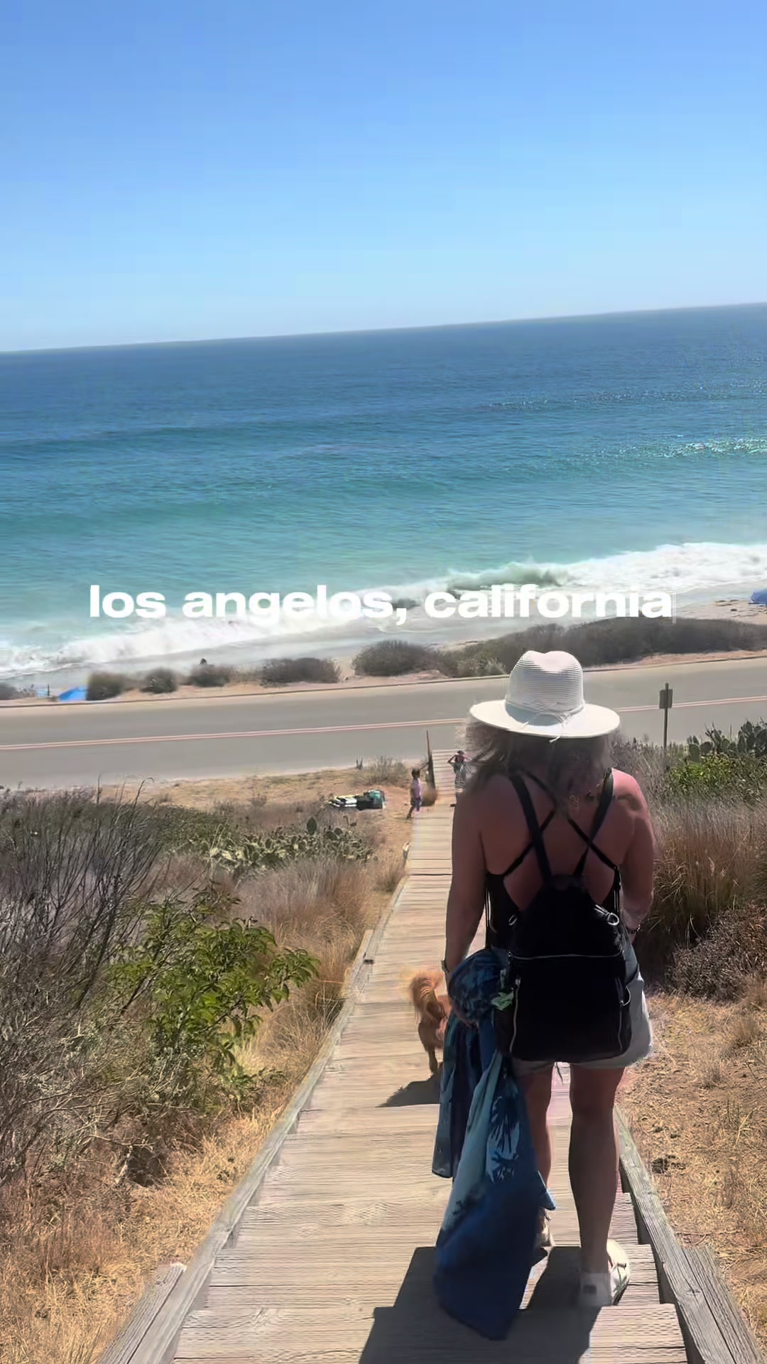 @shaynakatz