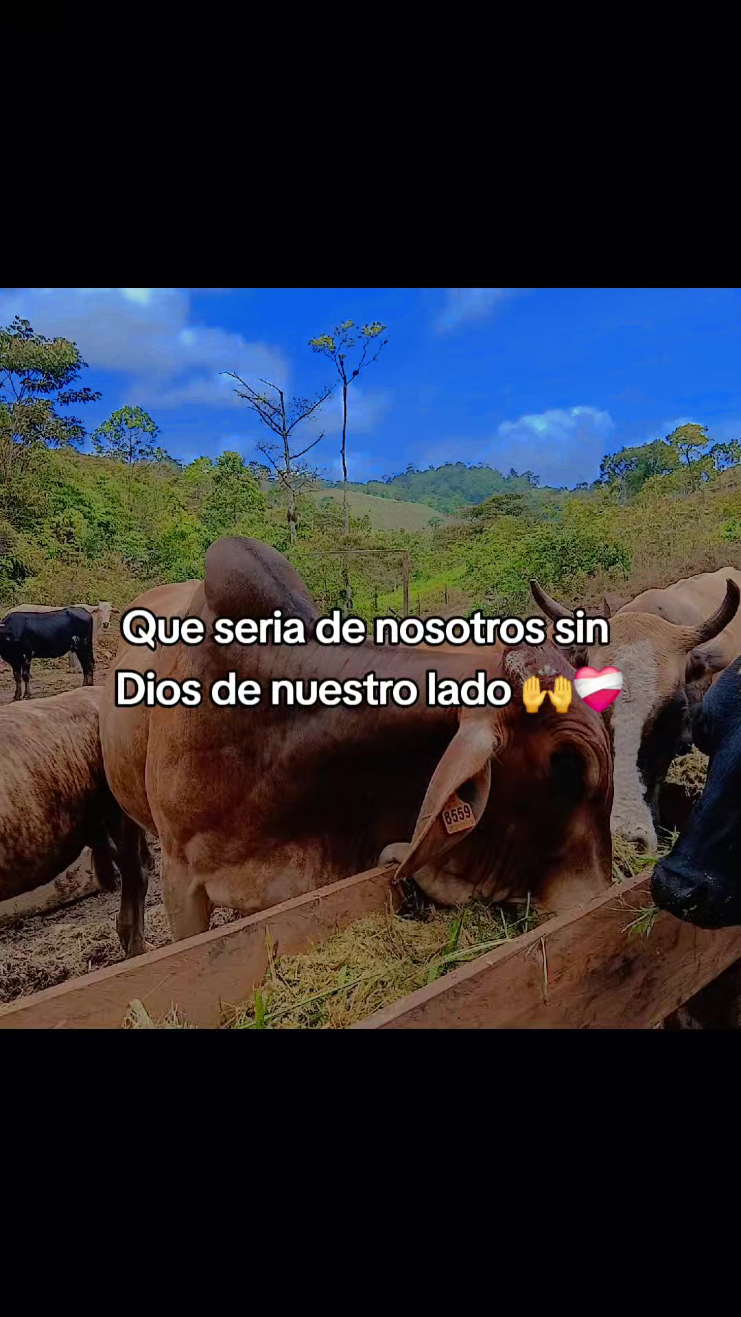 @🇲🇽🤠El{Franklin🇲🇽}🍀🧃