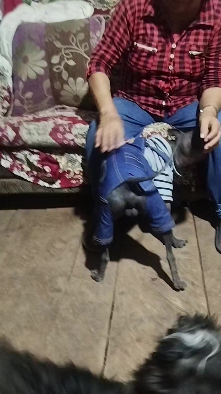 @filinho 23