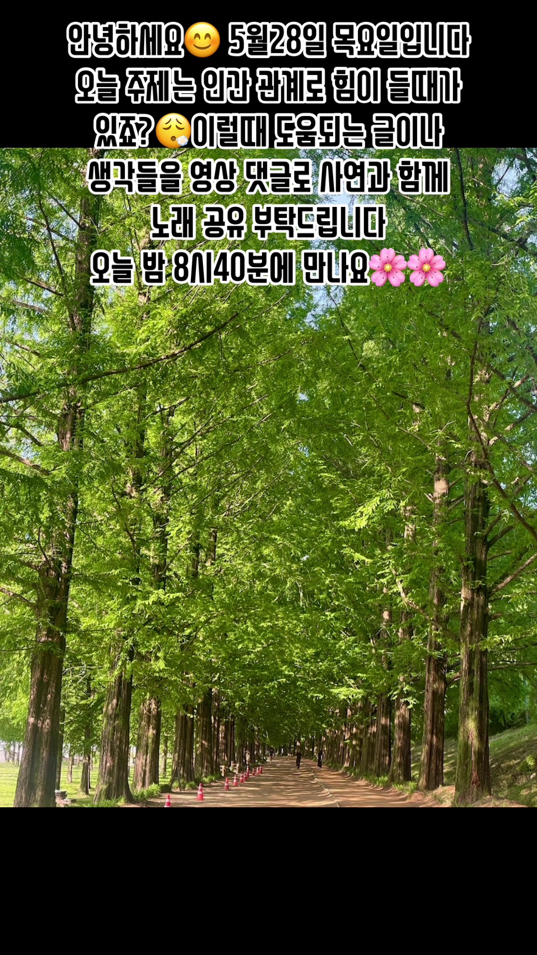 @🪴줄리애쉬