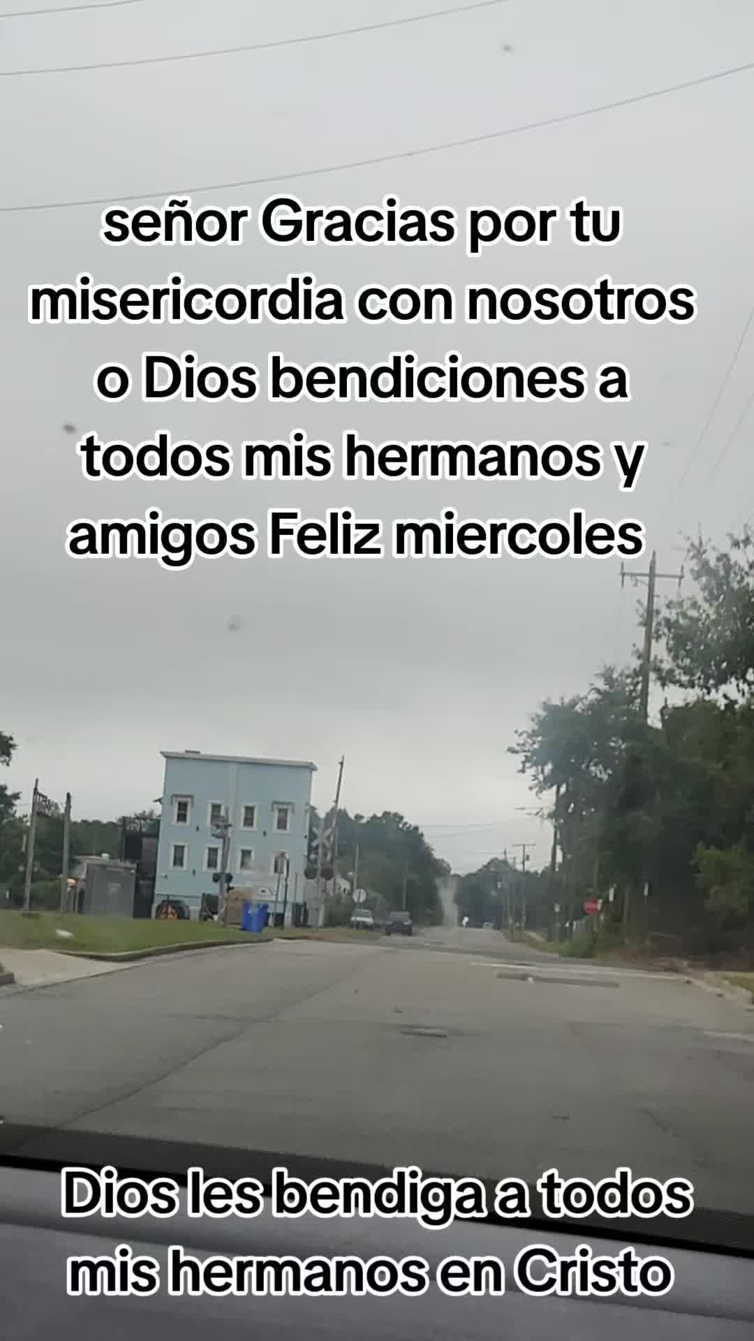 @🌻TERSITa🀄📖🕊deAki*🐺
