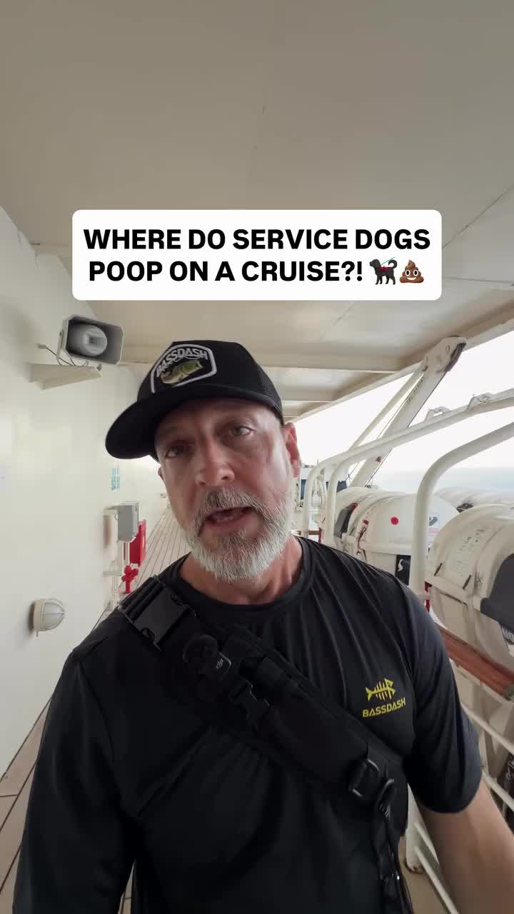 @Adventures In Retirement